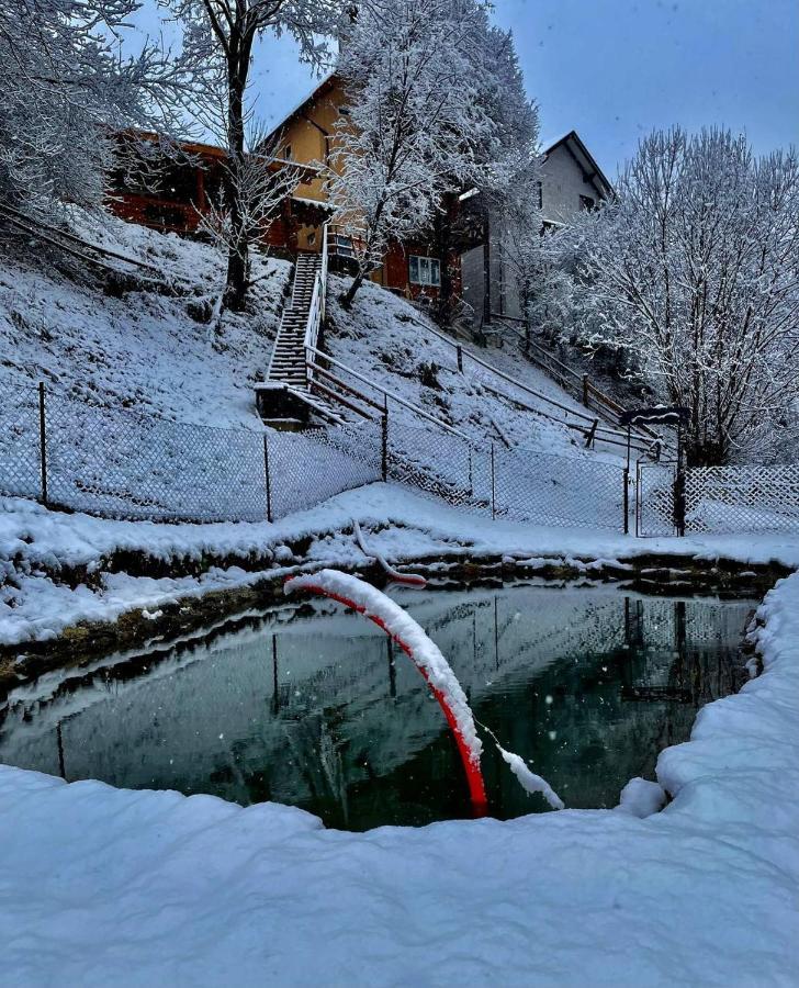 Садиба "У Туза" Vorohta Exterior foto